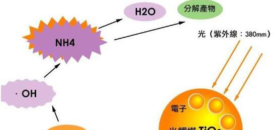 新房除甲醛一次多少钱?