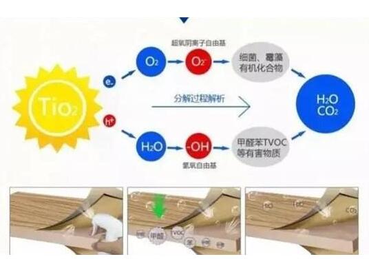 除甲醛效果：光触媒效果最佳