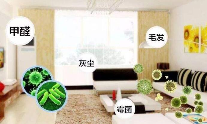 室内除甲醛：白醋洋葱除甲醛，用完了炒来吃？