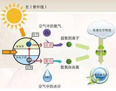 台州除甲醛公司真的有效吗?